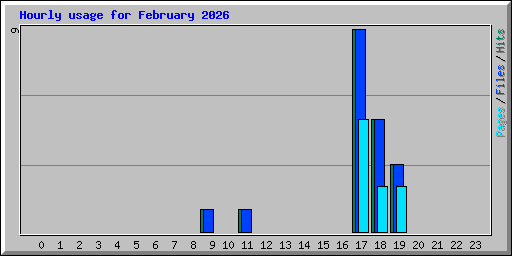 Hourly usage for February 2026