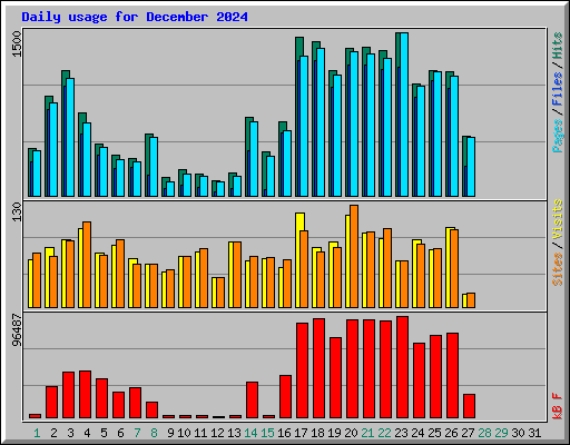 Daily usage for December 2024