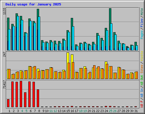 Daily usage for January 2025