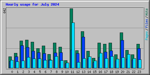 Hourly usage for July 2024