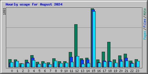 Hourly usage for August 2024