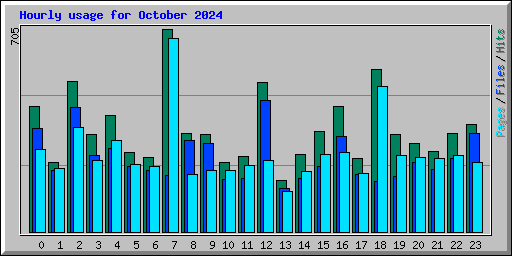 Hourly usage for October 2024