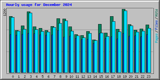 Hourly usage for December 2024