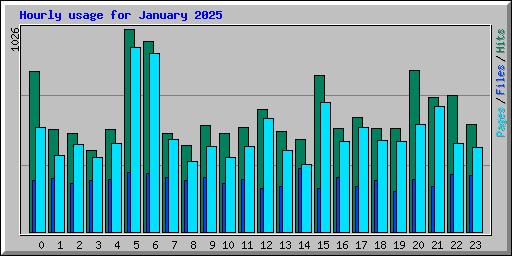 Hourly usage for January 2025