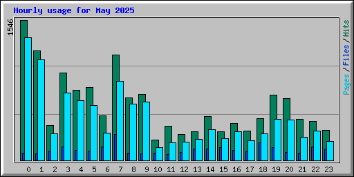 Hourly usage for May 2025