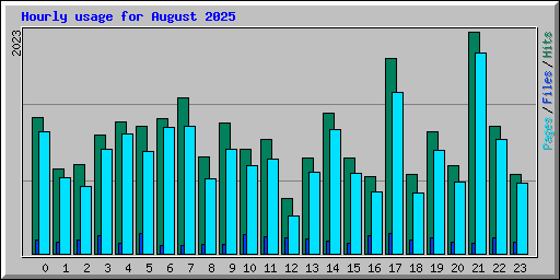 Hourly usage for August 2025