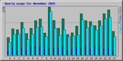 Hourly usage for November 2025