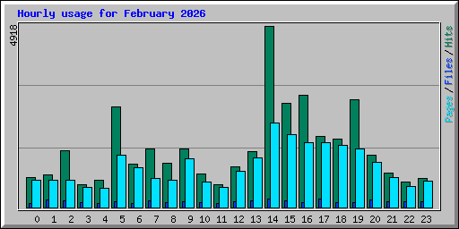 Hourly usage for February 2026