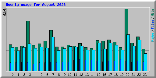 Hourly usage for August 2026