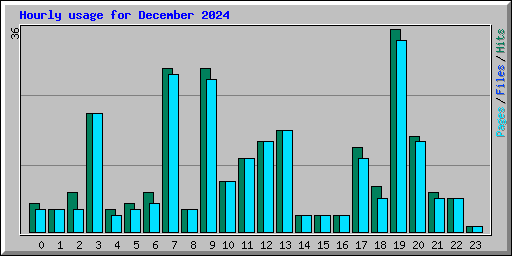 Hourly usage for December 2024