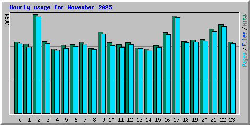 Hourly usage for November 2025