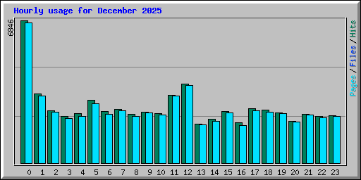 Hourly usage for December 2025