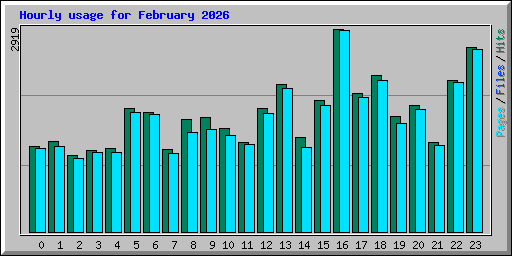 Hourly usage for February 2026